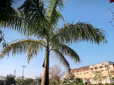 Hemu Kalani Park