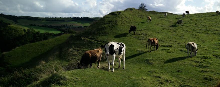 Cadbury Hillfort
