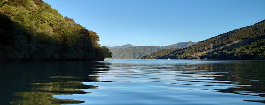 Mistletoe Bay