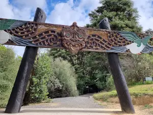 Hakarimata Summit Hiking Track