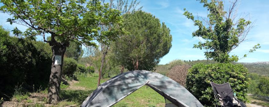 Camping Municipal L'Espazo