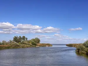 "Wolves' Shoal" National Park