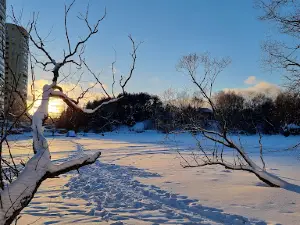 Парк Заречье, Троицк