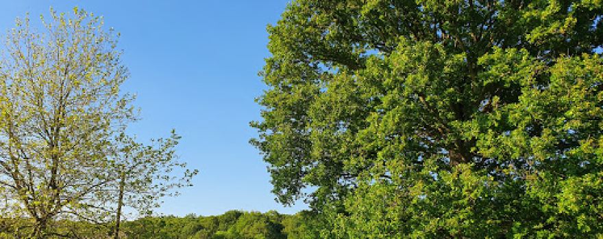 aire de camping car le billot
