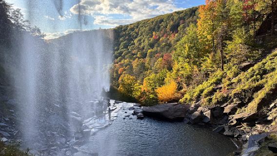 Kaaterskill Wild Forest