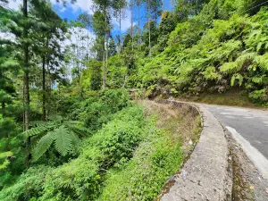 Gunung Telomoyo Via Dalangan