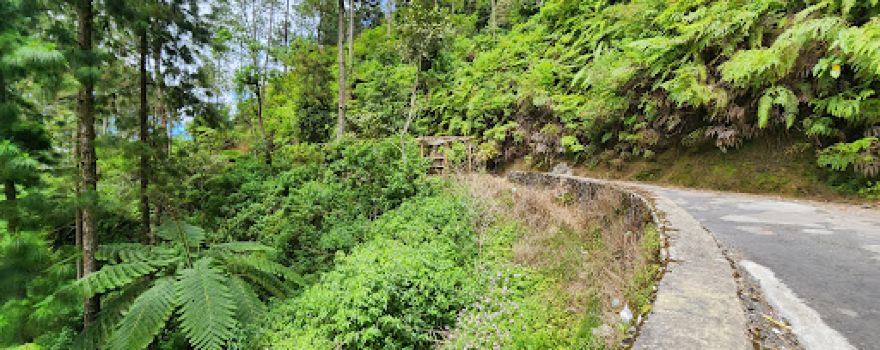Gunung Telomoyo Via Dalangan