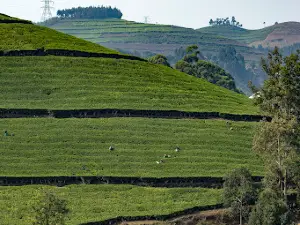 Les Chutes de Ndaba