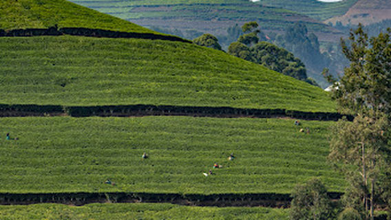 Les Chutes de Ndaba