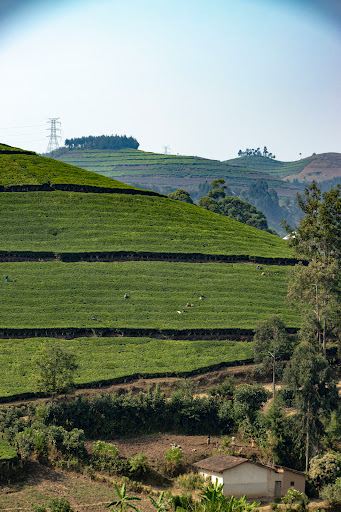 Les Chutes de Ndaba