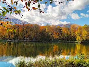 Gosh Lake