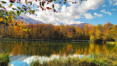 Gosh Lake