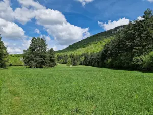 Očno