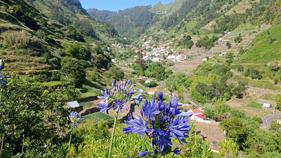 Levada Nova, Candelária