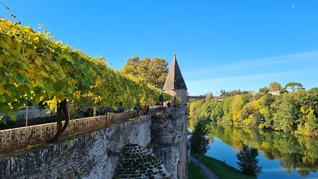 Jardins Du Palais - Albi