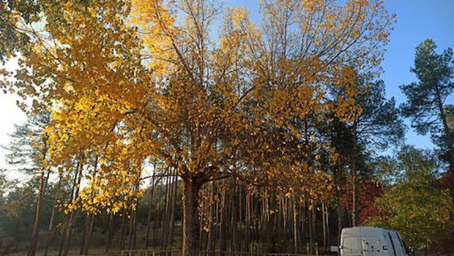 Fuente de la tía Perra