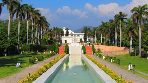 Yadavindra Gardens, Pinjore