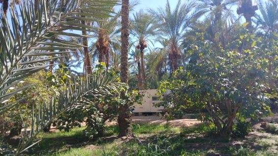 Coco Oasis Camping