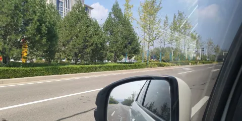 銀杏公園