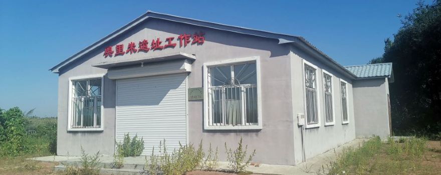 ao li mi cheng zhi