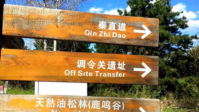 Diaolingguan Forest Park