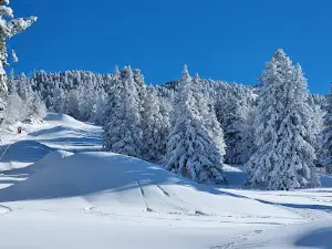 Stade de neige