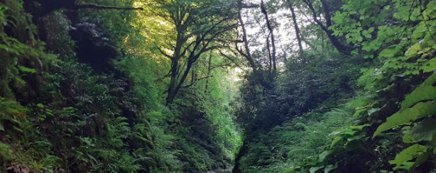 Kintikara waterfall/კინტიკარას ჩანჩქერი