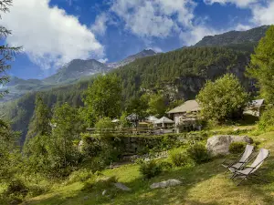 Alpe Burki