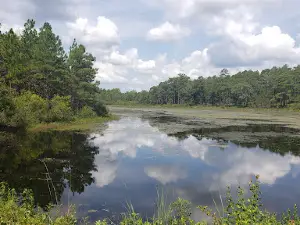 Carolina Sandhills National Wildlife Refuge Admin Building And Visitor Contact Station
