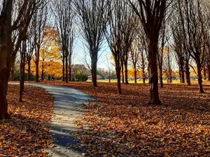 Perrin Family Park