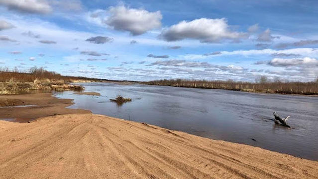 Soggy Bottom Trails, Pub & Camping