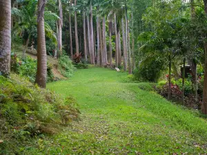 De Bushes Nature Reserve and Resort
