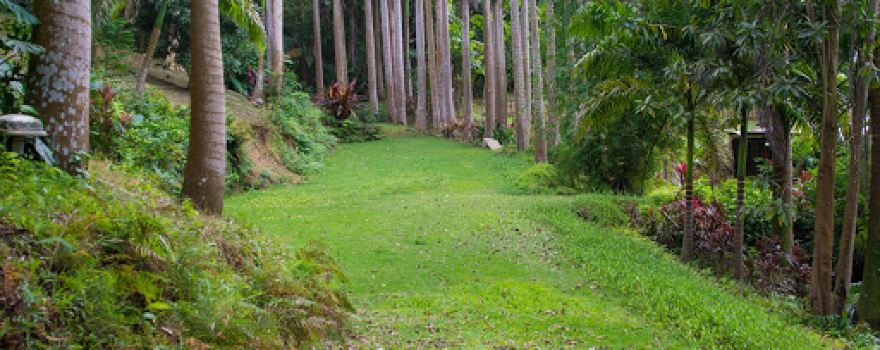 De Bushes Nature Reserve and Resort