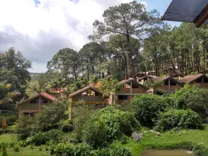 Municipal La Zanja Park