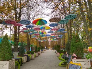 Alexandrovsky Park of Culture and Leisure