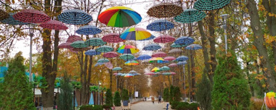 Alexandrovsky Park of Culture and Leisure