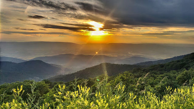 Timber Hollow Overlook