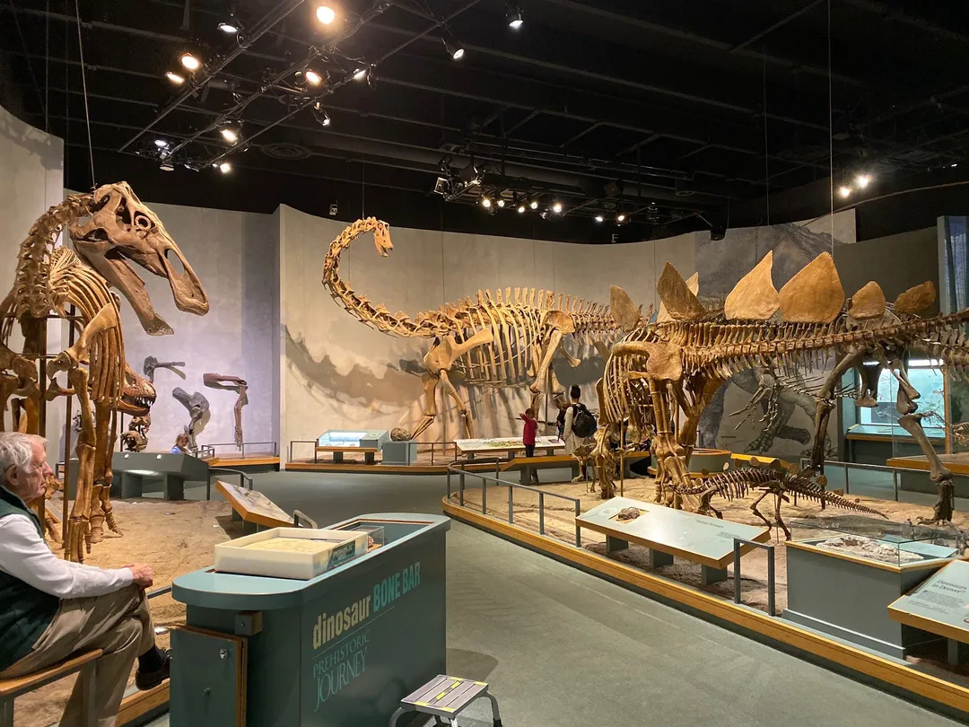 3_Denver Museum of Nature & Science