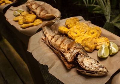 Panama Rainforest Discovery Center