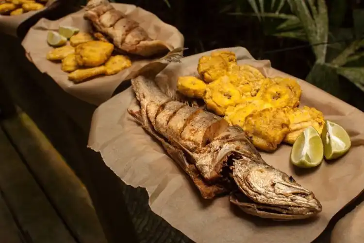 Hotels near Panama Rainforest Discovery Center