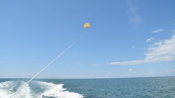 Suncoast Watersports