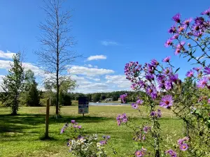 Emily Provincial Park