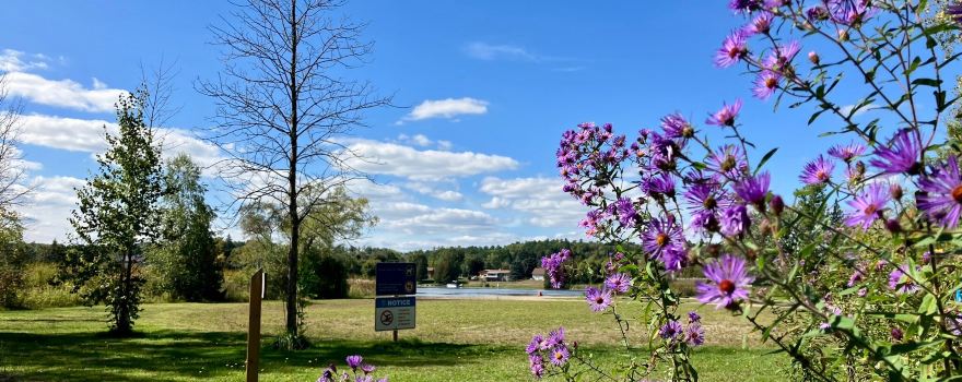 Emily Provincial Park