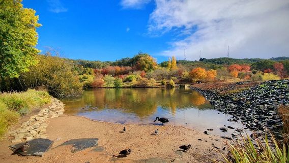 Mount Lofty Botanic Garden