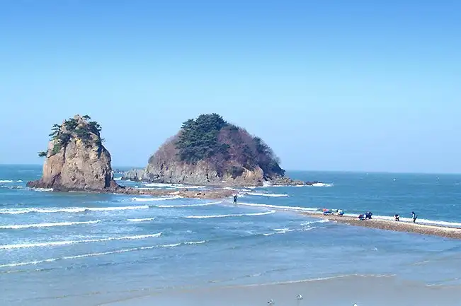 안면도 자연휴양림 주변 호텔