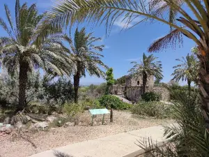 En Afek Nature Reserve