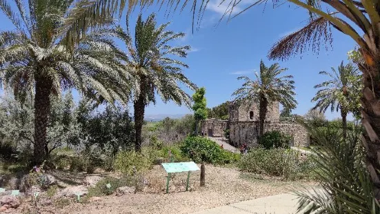 En Afek Nature Reserve