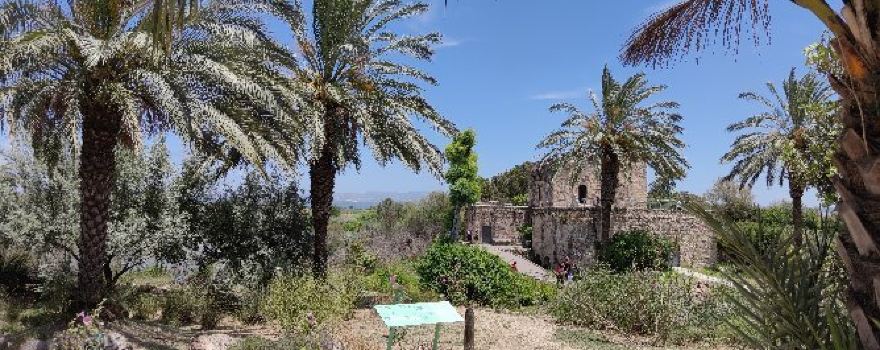 En Afek Nature Reserve