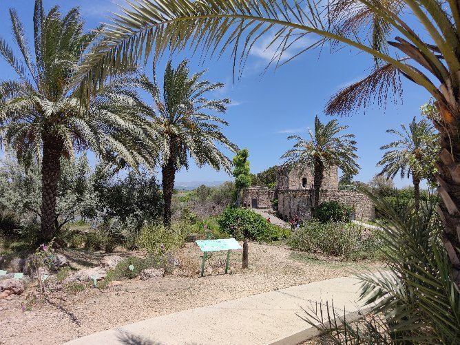 En Afek Nature Reserve