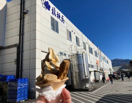 笛吹市 自由行套票